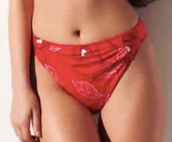 Fantasie Venice Brief  -  Size S Left! Was $42 Now $5!