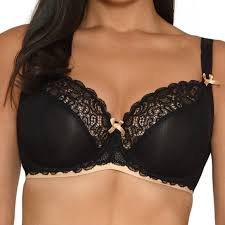 Curvy Kate Ellace - Size 28G (30 band with an extender) Left! Was $79, now $7!